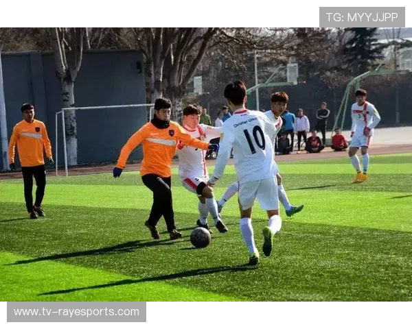 校园足球合作项目，五大联赛参与